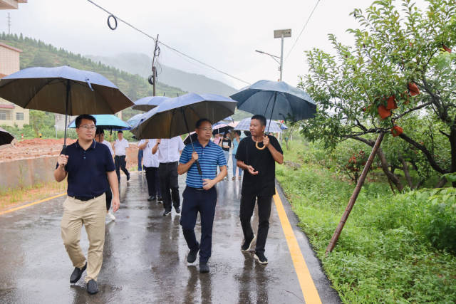 调研团考察“我在乐昌有棵‘黄金树’”认养活动地点。 调研团考察“我在乐昌有棵‘黄金树’”认养活动地点。