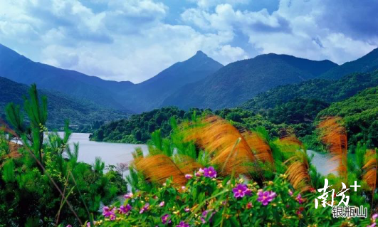 黄旗山。黄伟兴 摄