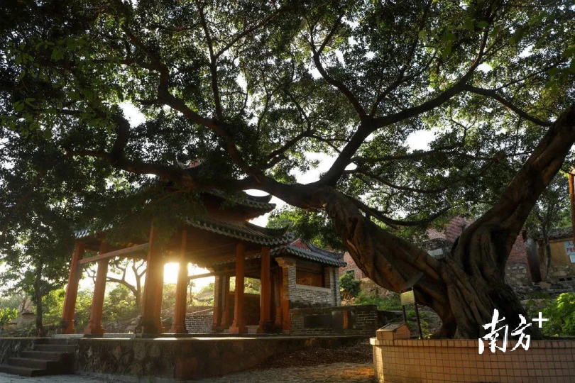 黄旗山。黄伟兴 摄