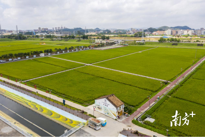 黄旗山。黄伟兴 摄