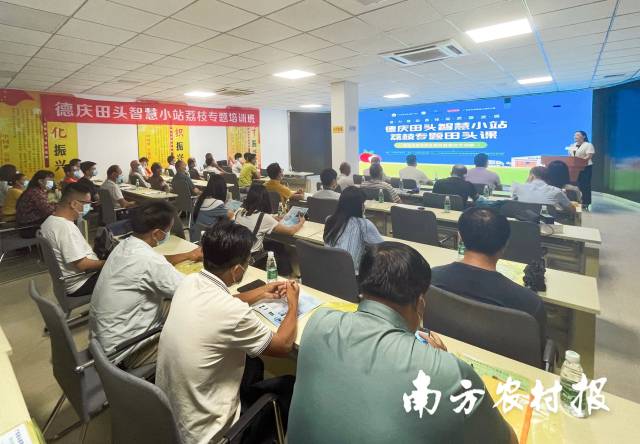 数字+轻骑兵全链条支招，给“荔”服务助产销丨田头课⑪