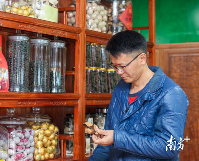 招永伦在记录陈皮产品品质 招永伦在记录陈皮产品品质