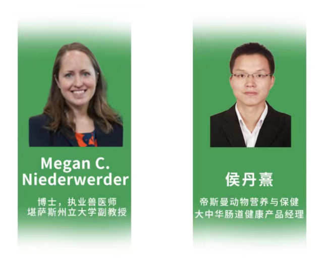 猪价冲向9元/斤！行情回暖，如何做好猪的肠道健康等营养保障？