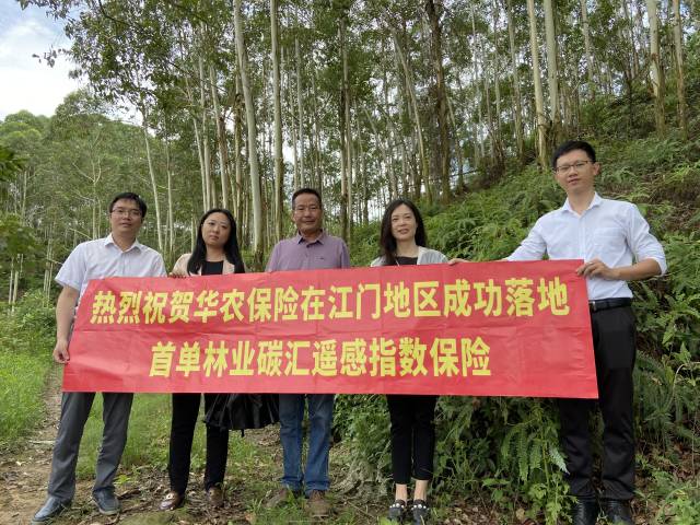 6月15日，华农保险在江门市开平市赤水镇成功落地江门市首单林业碳汇遥感指数保险。