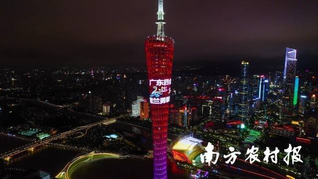 广东四会兰花首登广州塔 广东四会兰花首登广州塔