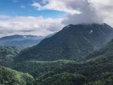 琼州潮涌展宏图——沿着总书记的足迹之海南篇