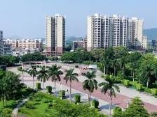 博罗湖镇：擦亮幸福底色，积蓄发展势能