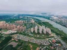 博罗：全域“520” 营商福地展魅力