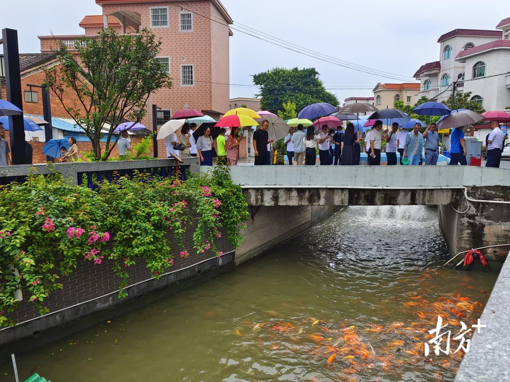 实地走访参观下西社区探花公园。孙景锋 摄