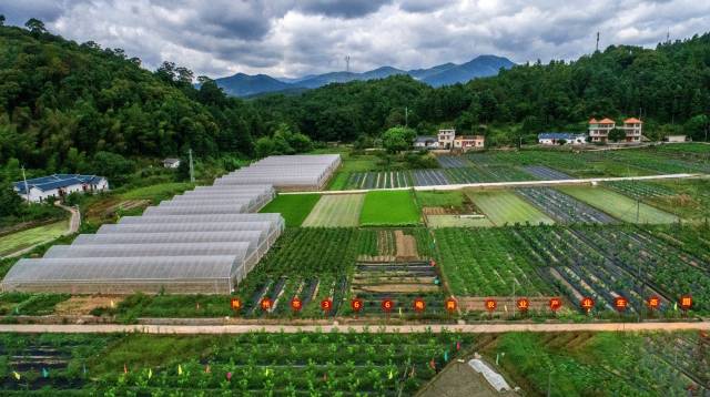 梅州市366电商农业产业生态园