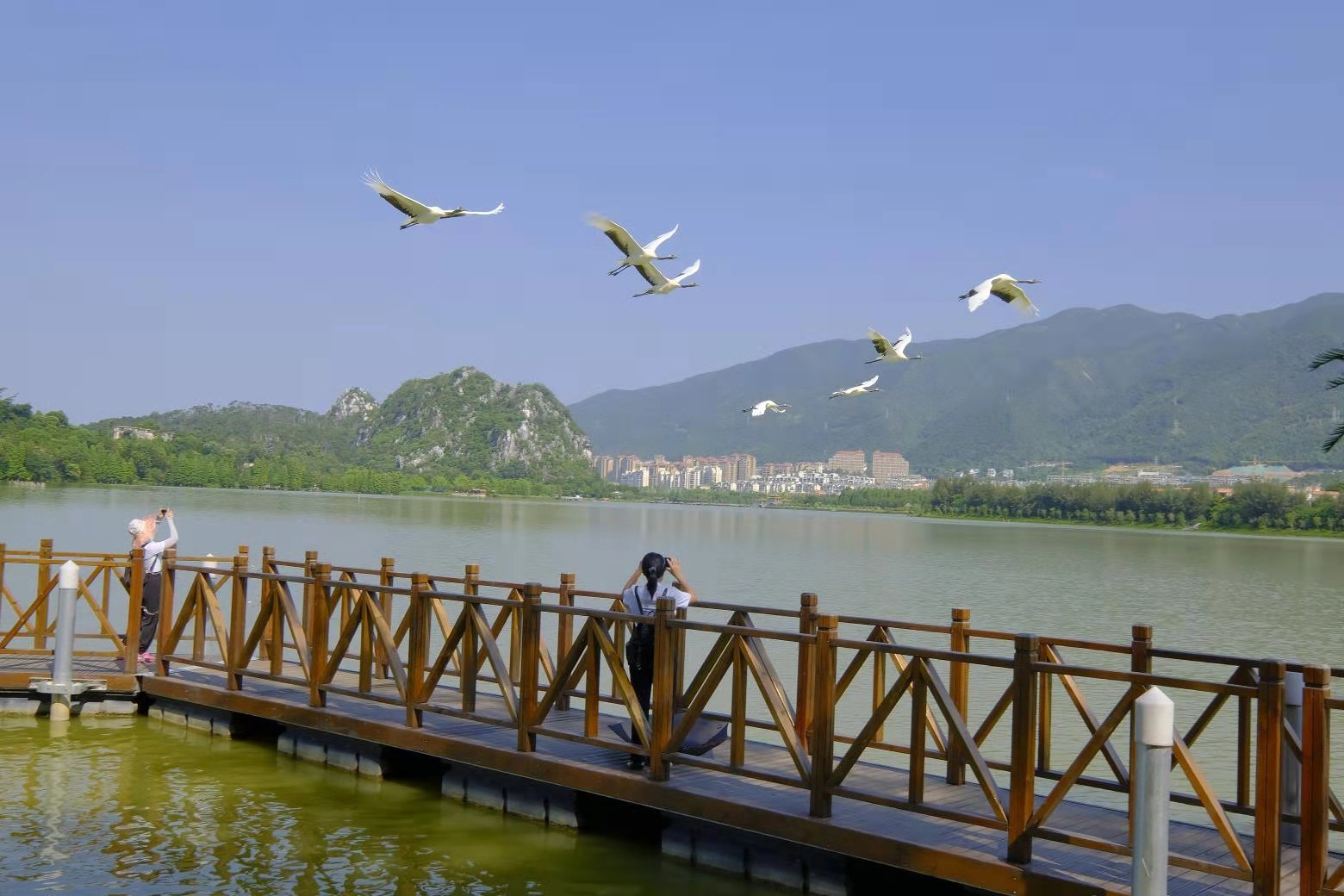 星湖景区。吴勇强 摄 星湖景区。吴勇强 摄