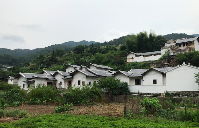 上举镇经过改造后的客家民居群