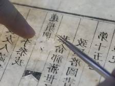 问脉南粤 | 千年岭南古籍“重生记”