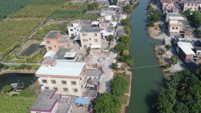 Hi 我在榄核的第37天