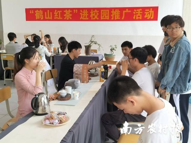 鹤山红茶进校园推介！“校地园企”合作助农增收