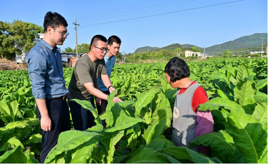 驻仁居镇工作队下乡调研