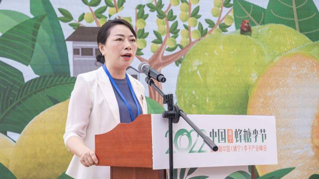 安顺市人民政府副市长潘登岭