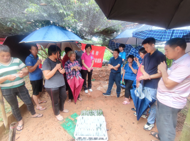 送苗送技术下乡，专家团队与德庆农户交流种植经验