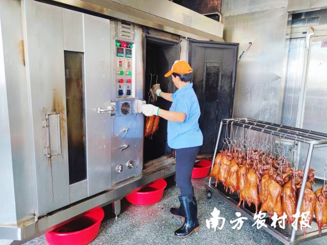 恒益的烧鹅炉已经升级至第四代,可同时制作25只烧鹅。 恒益的烧鹅炉已经升级至第四代,可同时制作25只烧鹅。
