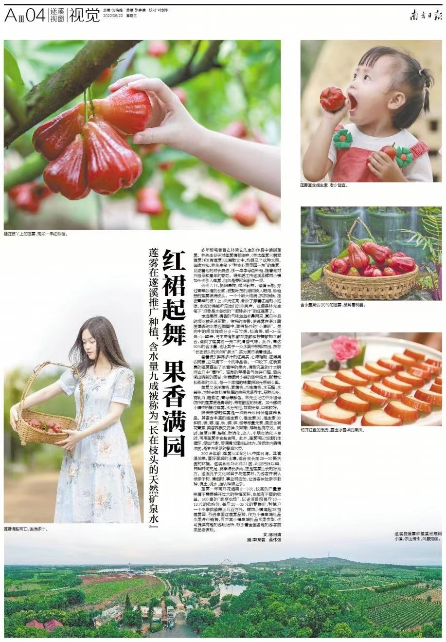    南方+ 刘晓维 制图