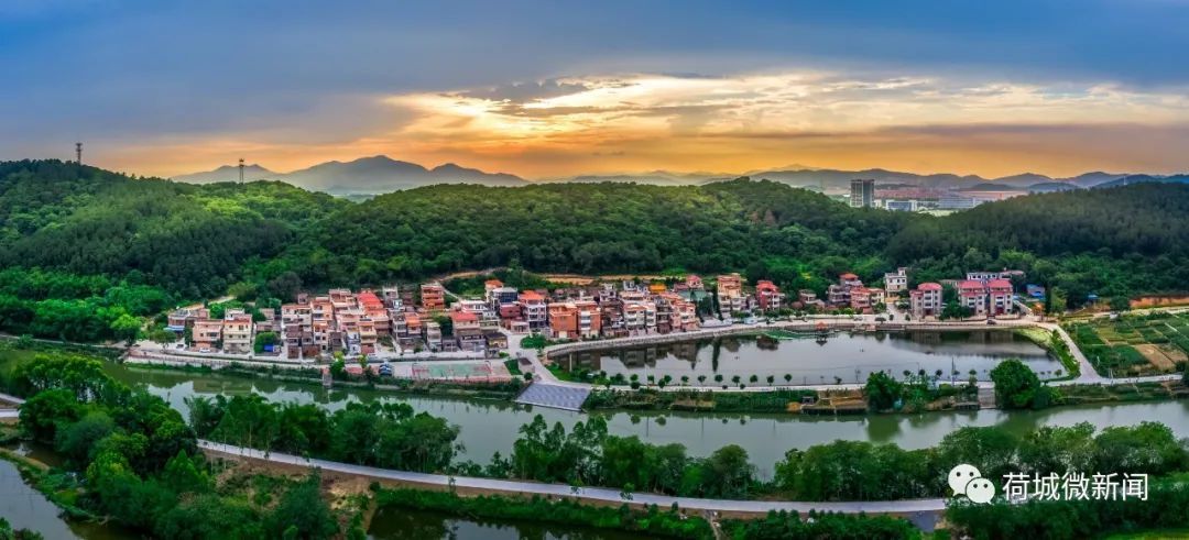 荷城街道古耶村。甘广杰摄