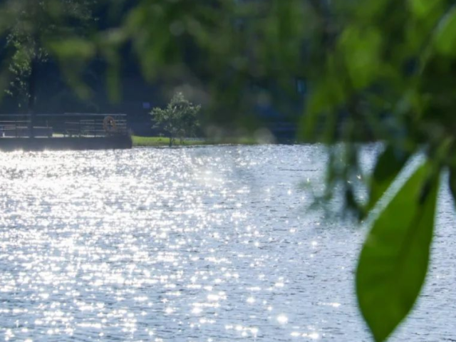 4887人! 东莞理工学院2022年招生计划发布!