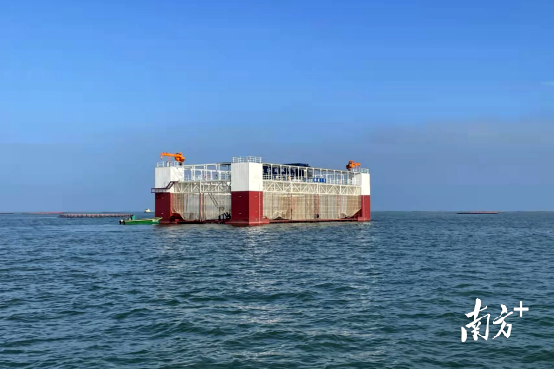 藏粮于海！湛江：全产业链发力，打造“蓝色粮仓”，建设全国水产种业“硅谷”！