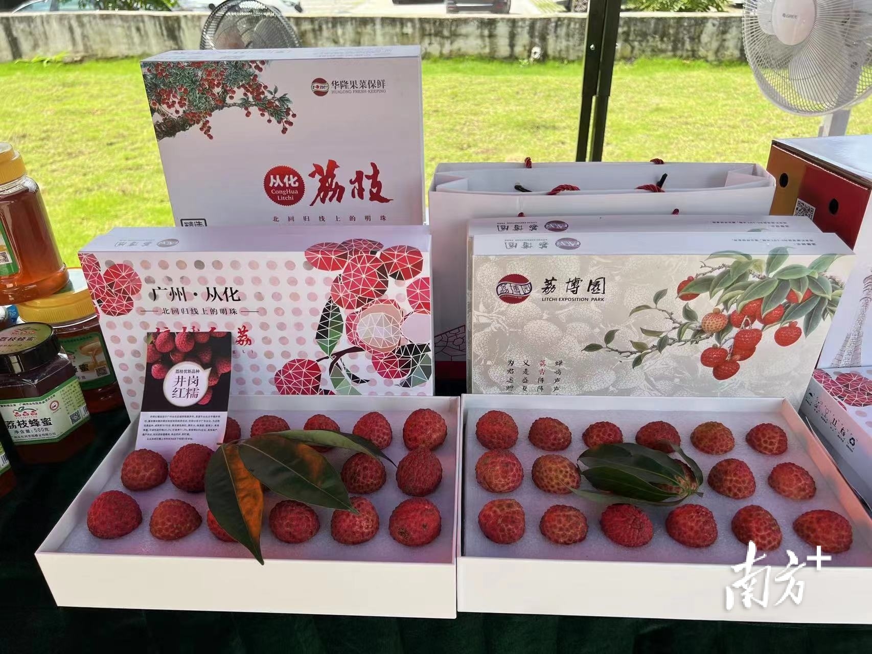 从化荔枝“搭”上广州地铁啦!