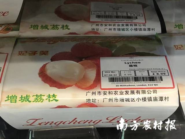 上架伦敦金融中心天天超市的增城妃子笑。 上架伦敦金融中心天天超市的增城妃子笑。