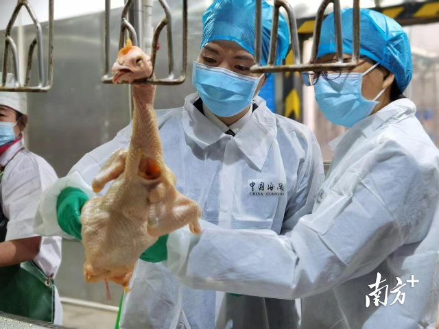 海关工作人员到企业生产车间进行食品安全监管。