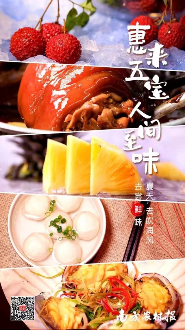 惠来五宝。南方农村报吴秒衡 摄 惠来五宝。南方农村报吴秒衡 摄