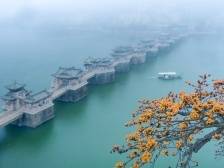 全力打造美丽中国的广东样板，不负总书记深情牵挂