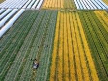 奋力谱写三秦大地高质量发展新篇章（沿着总书记的足迹·陕西篇）