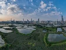 “一国两制”是香港繁荣稳定的重要基石