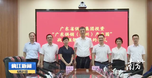 签约现场。