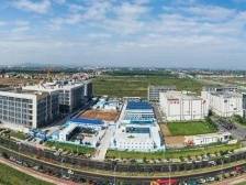 链接世界：南沙风劲，湾区“芯”动