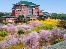 华农党委书记王斌伟、校长刘雅红：发挥以农立校优势，深入推进“双一流”建设