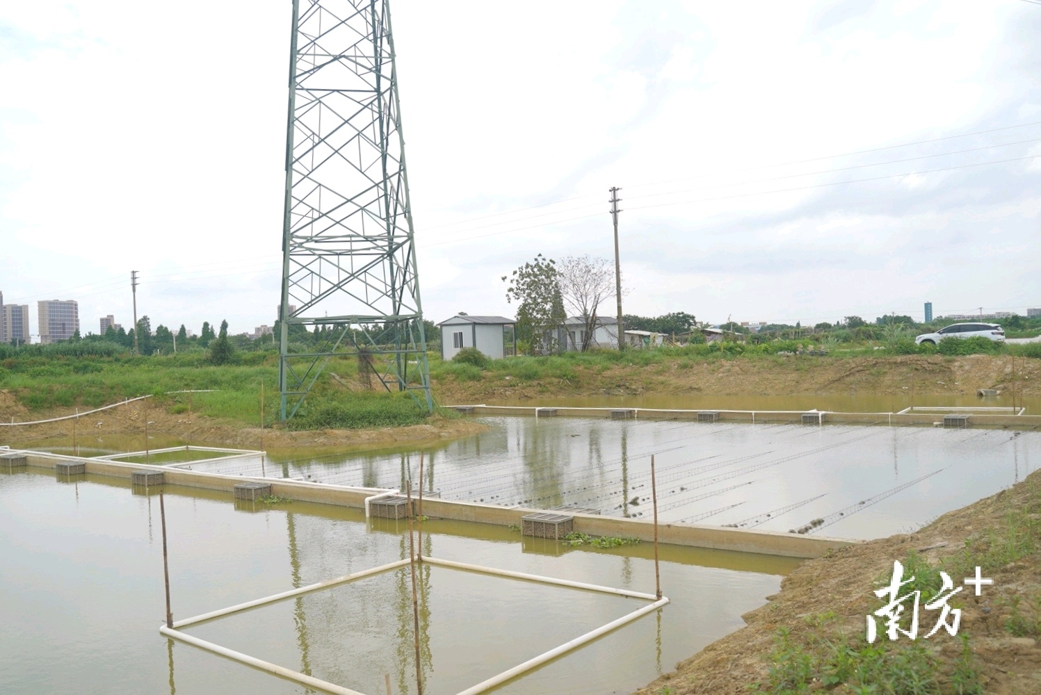 丹灶镇劳边社区沙水经济社连前鱼塘尾水处理设施主体已经建成。林洛峰 摄