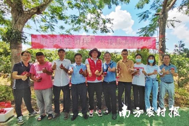 种好果卖好价！轻骑兵带你揭秘莲雾高品质栽培技术