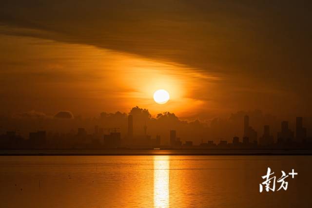 炎炎夏日岭南尽是最美色彩