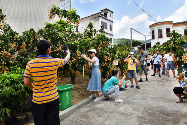 受訪者供圖