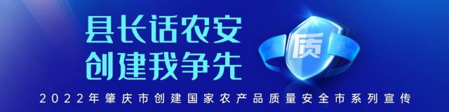 南方农村报 郑建斯 拍摄
