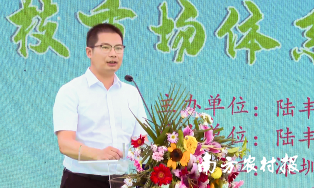 陆丰市副市长刘亮.