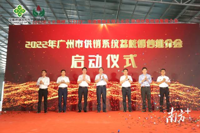 2022年广州市供销系统荔枝销售推介会正式启动 2022年广州市供销系统荔枝销售推介会正式启动