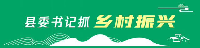 高州市委书记王土瑞：全域全面推进乡村振兴 迈向更高水平的全国百强县