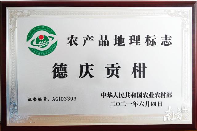 德庆贡柑获得国家农产品地理标志认证。