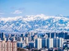 情满天山处处春——沿着总书记的足迹之新疆篇