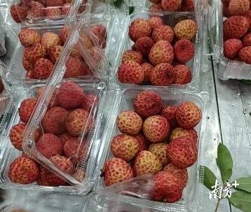 出口的井岗红糯 出口的井岗红糯