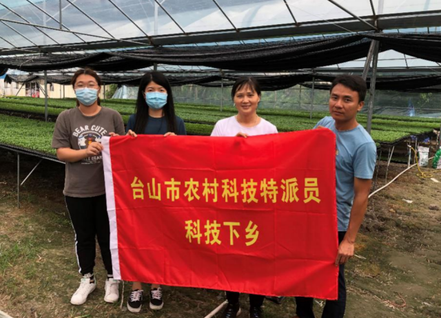 促进蔬菜产业标准化！台山市农村科技特派员项目组专家开展技术指导