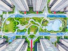 区域观察｜优质生活圈助力珠江后航道南岸更宜居